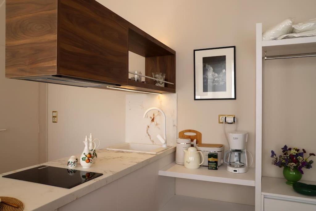Olvar Penthouse Apartment เอเธนส์ ภายนอก รูปภาพ